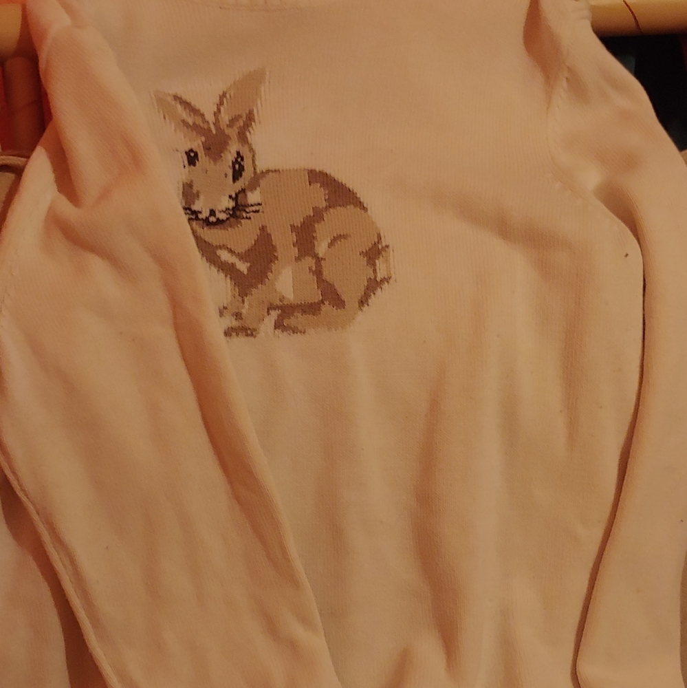 Rabbit Sweater